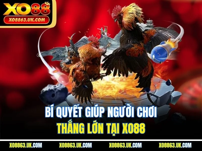 Bí quyết giúp người chơi thắng lớn tại XO88