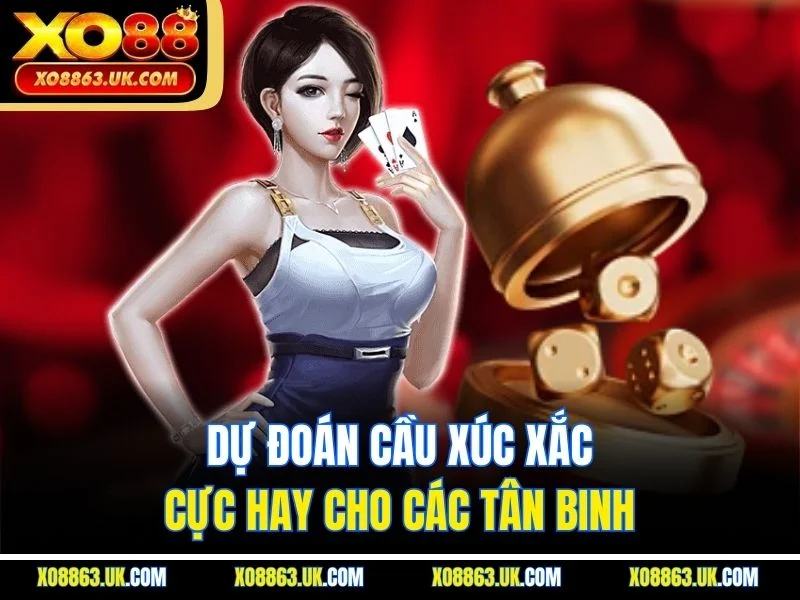 Dự đoán cầu xúc xắc cực hay cho các tân binh