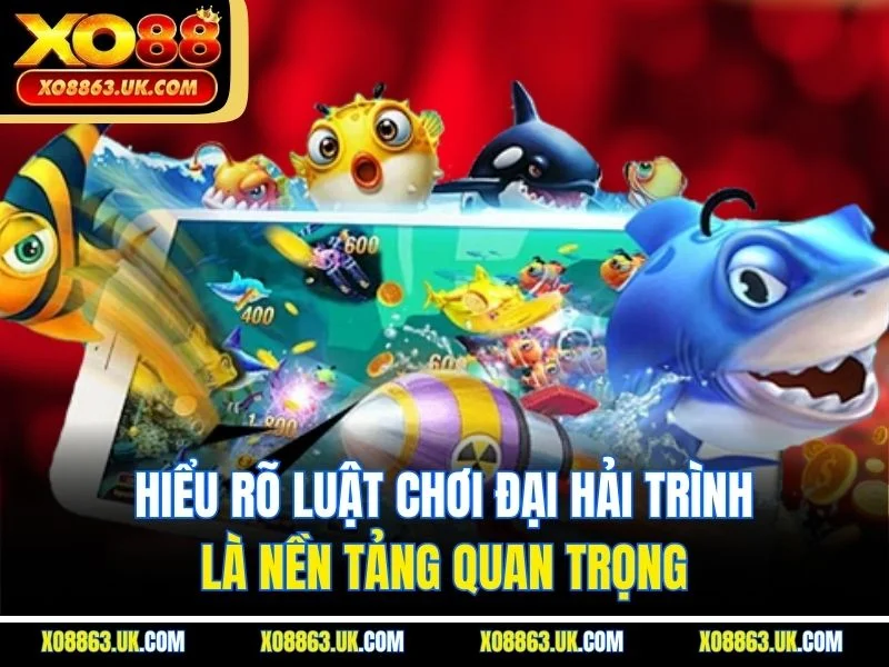 Hiểu rõ luật chơi đại hải trình là nền tảng quan trọng