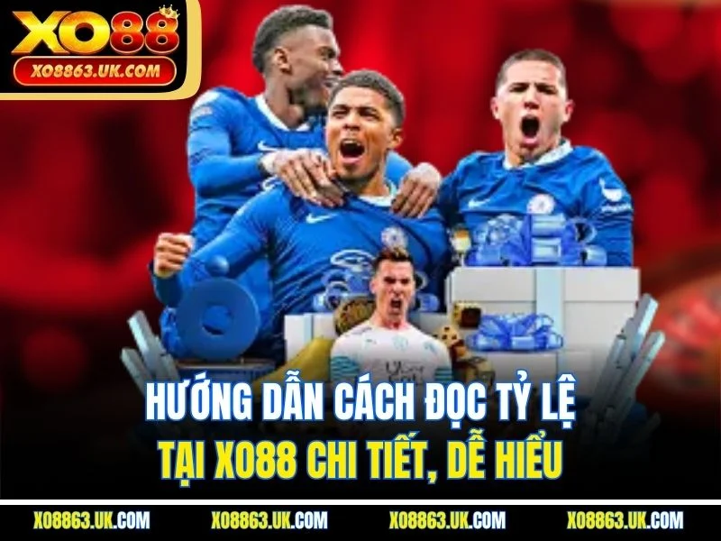 Hướng Dẫn Cách Đọc Tỷ Lệ tại XO88 Chi Tiết, Dễ Hiểu