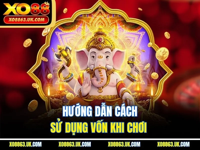 Hướng dẫn cách sử dụng vốn khi chơi