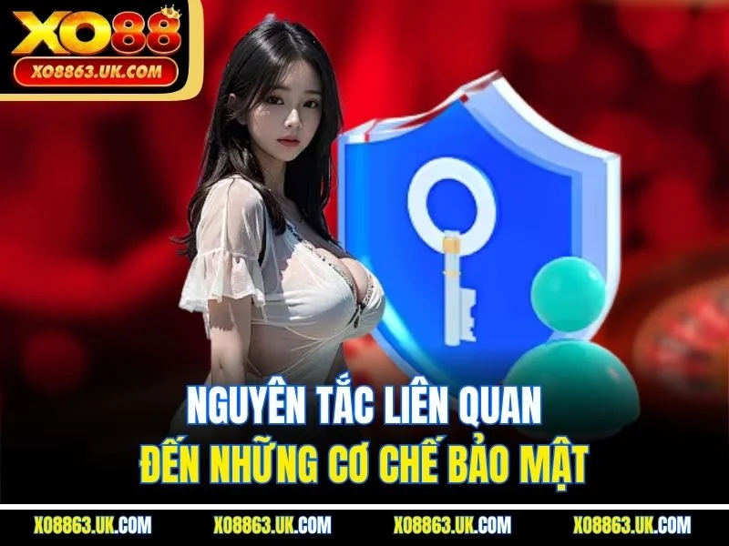 Nguyên tắc liên quan đến những cơ chế bảo mật
